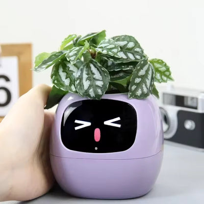 Stylish Smart Pot for Small Plants