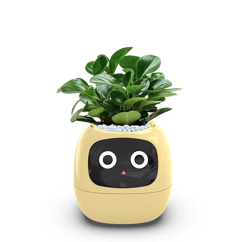 Stylish Smart Pot for Small Plants