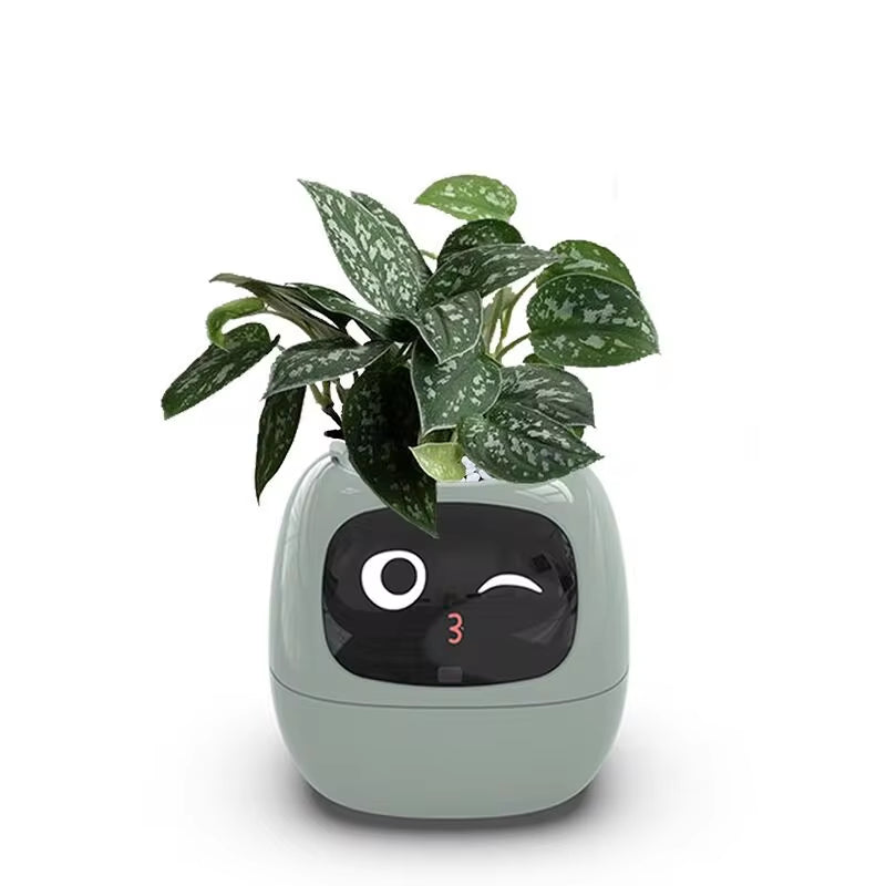 Stylish Smart Pot for Small Plants