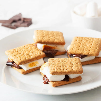  Indoor Electric S'mores Maker Kit