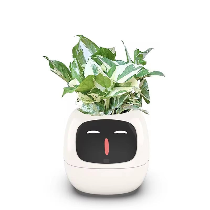 Stylish Smart Pot for Small Plants