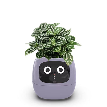 Stylish Smart Pot for Small Plants