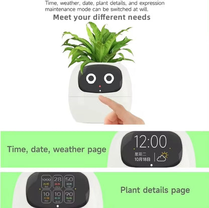 Stylish Smart Pot for Small Plants