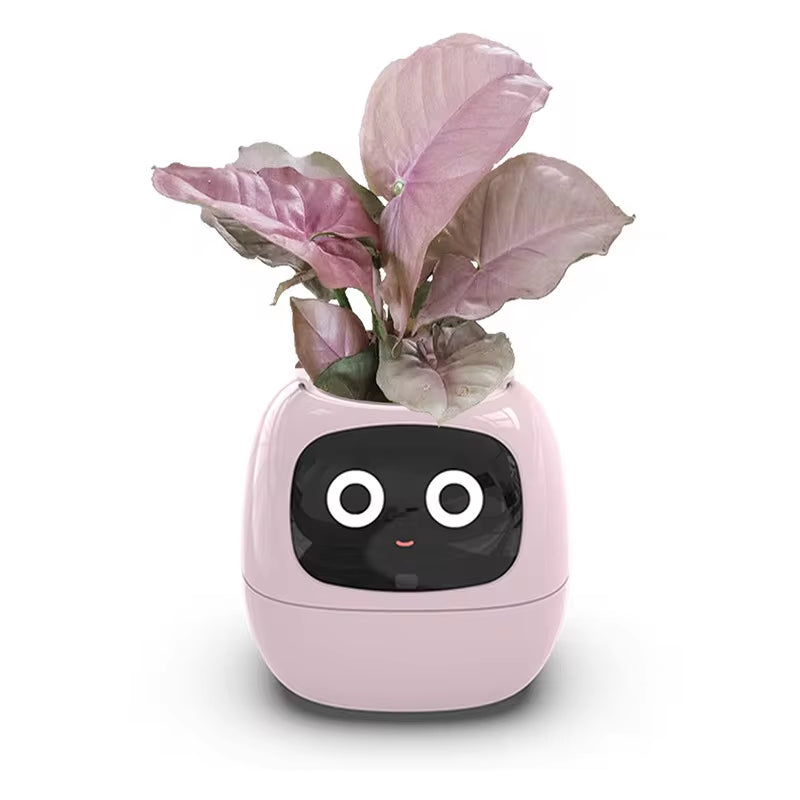 Stylish Smart Pot for Small Plants